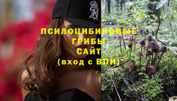 мяу мяу мука Баксан