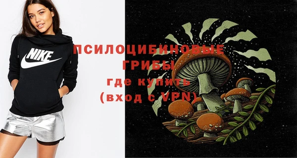 мяу мяу мука Баксан