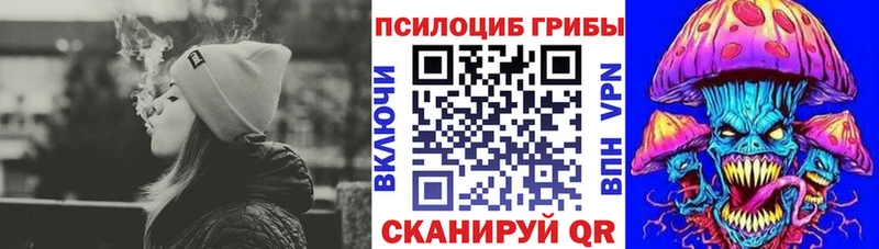 Галлюциногенные грибы MAGIC MUSHROOMS  Высоковск 